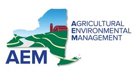 AEM Program Logo